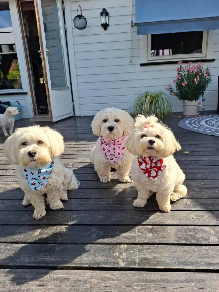 Royal Pups Bandana – Baby Blue