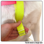 Nylon Colour Block Harness - Pink, Orange & Yellow