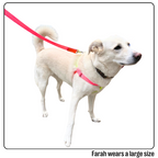 Nylon Colour Block Harness - Pink, Orange & Yellow