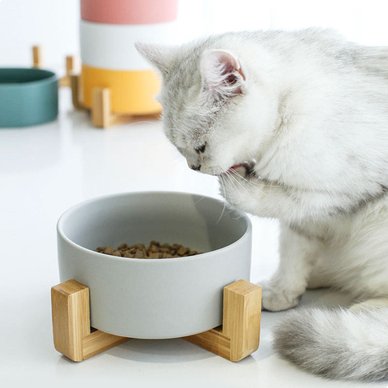 Ceramic Pet Bowl with Bamboo Stand