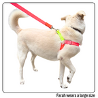 Nylon Colour Block Harness - Pink, Orange & Yellow