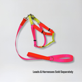 Nylon Colour Block Harness - Pink, Orange & Yellow