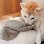 Cabbage Pop enrichment dog toy