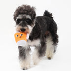 Beer Squeaky Dog Toy – Interactive Play