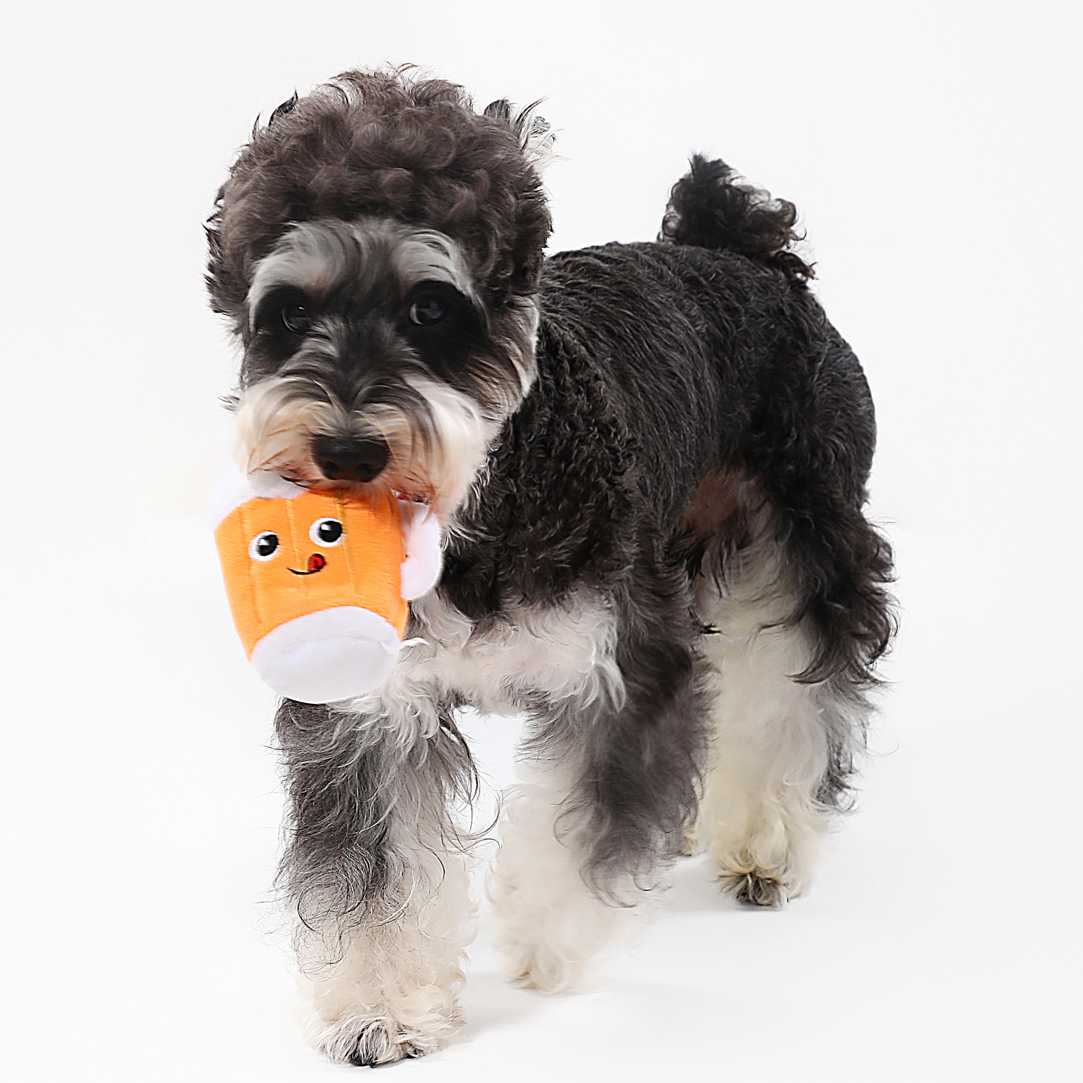 Beer Squeaky Dog Toy – Interactive Play