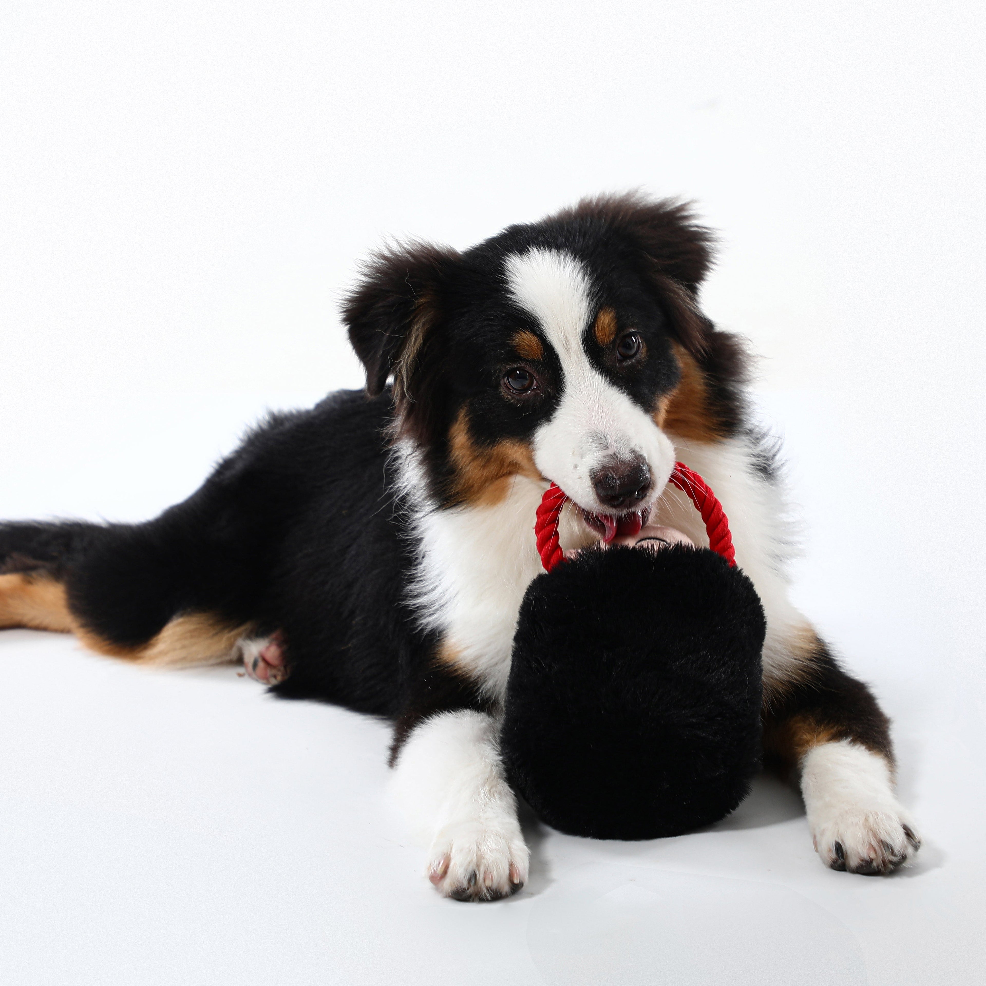 Woven Core Royal Defender Dog Toy – Durable Chew & Play
