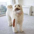 Mini Baguette enrichment dog toy