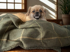 Arlo Forest Green Check Pet Blanket | Reversible Lambswool Sherpa | Handmade Luxury Dog Throw | Machine Washable UK