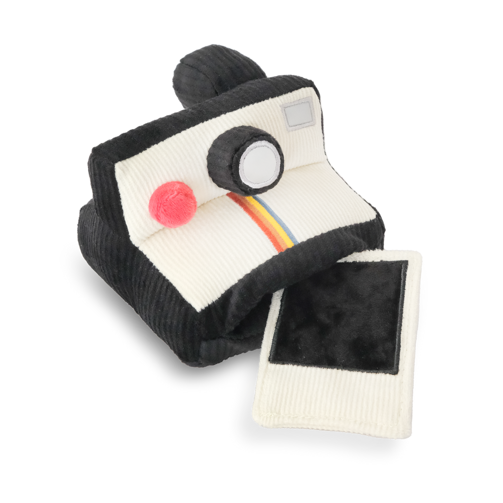 Instant Camera dog enrichment toy