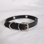 Black Rhinestone Bone Dog Collar