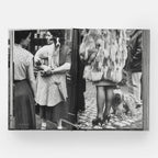 DogsDogs by Elliott Erwitt