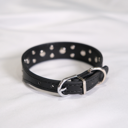 Black Dog Collar with Silver Heart Studs