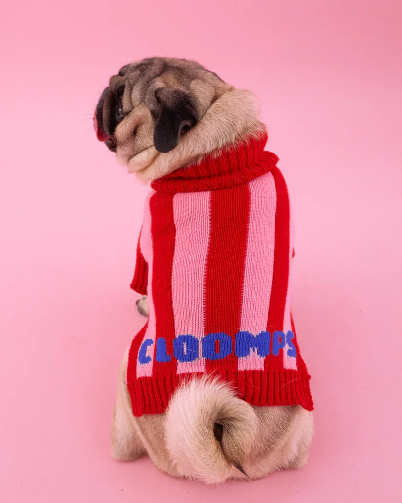 Lollipop Cloomps Jumper