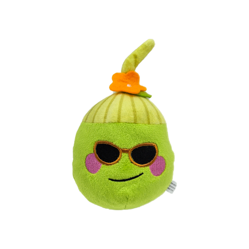 Subtropical Coconut Dog Toy – Interactive Squeaky Chew & Play