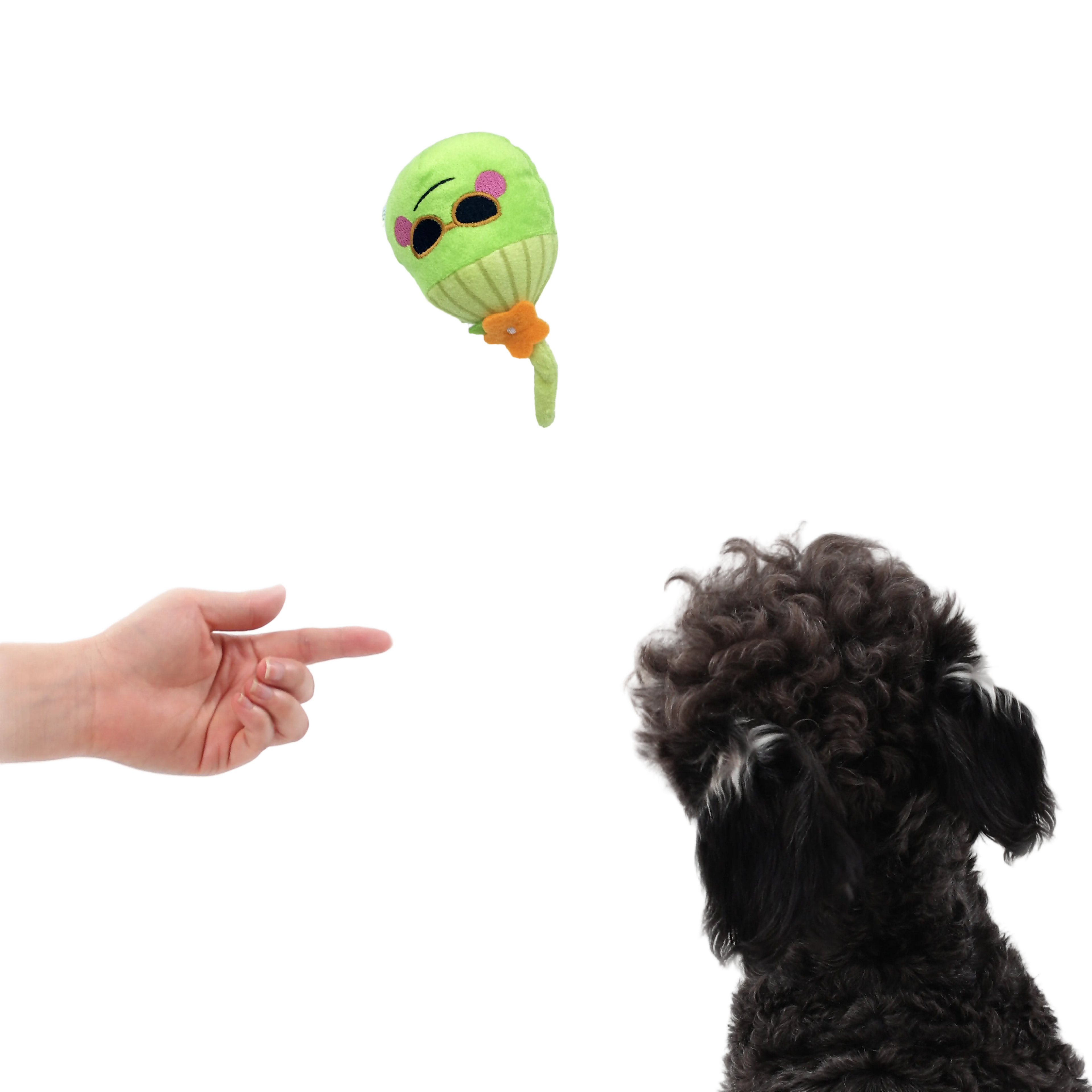 Subtropical Coconut Dog Toy – Interactive Squeaky Chew & Play