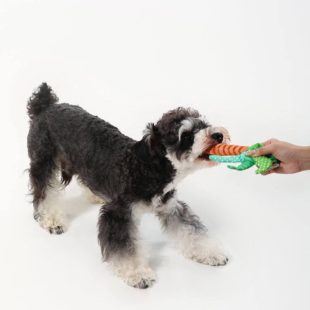 Subtropical Palm Tree Dog Toy – Crinkle & Squeaky Interactive Play