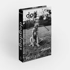 DogsDogs by Elliott Erwitt