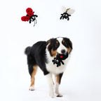 Spider Squeaky Dog Toy – Interactive Play