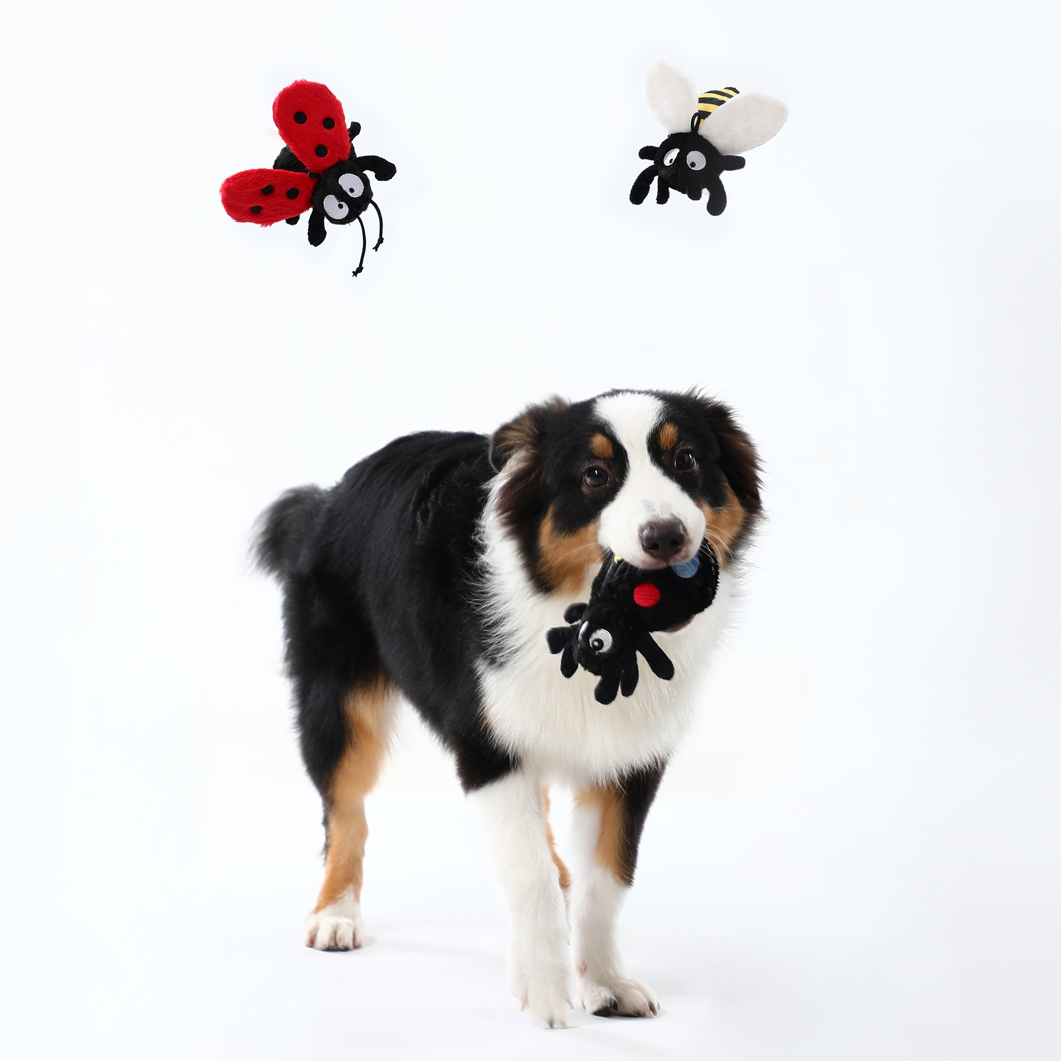 Spider Squeaky Dog Toy – Interactive Play