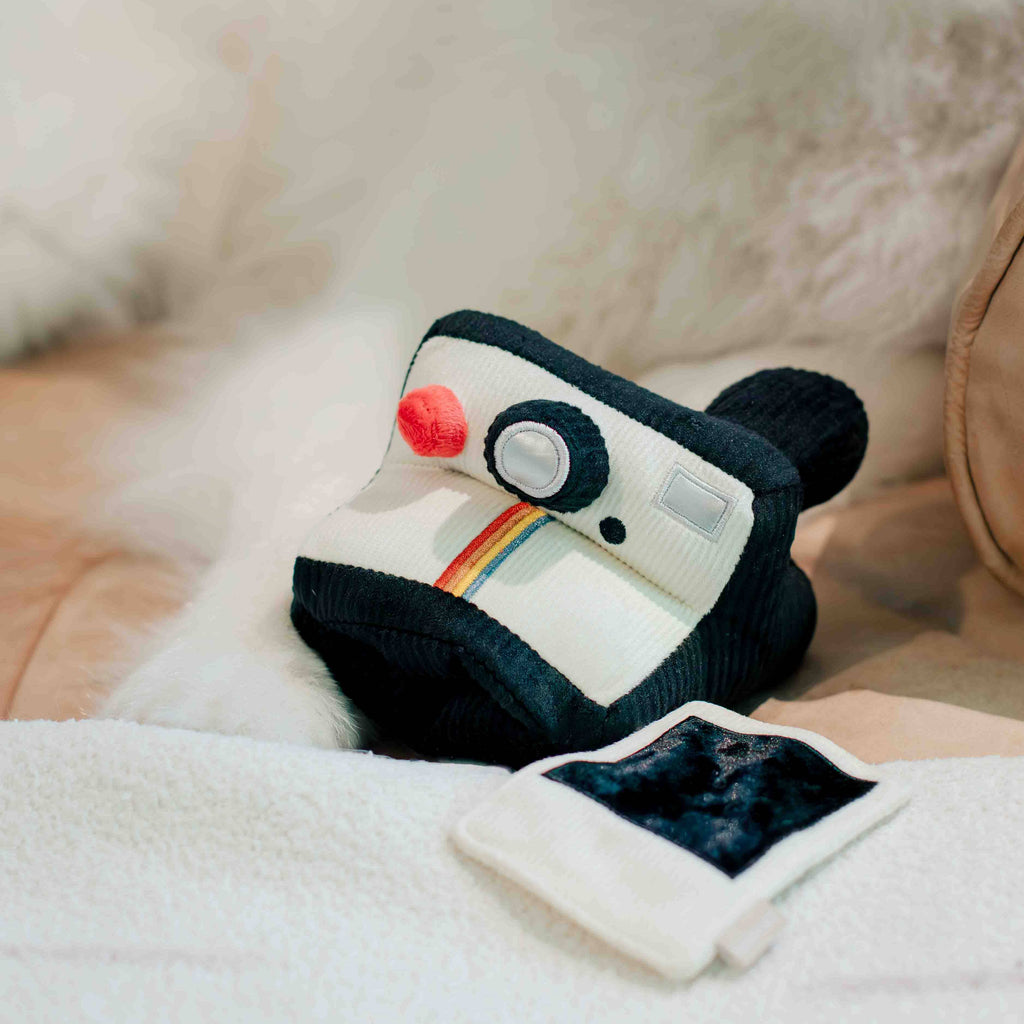 Instant Camera dog enrichment toy