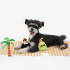 Subtropical Palm Tree Dog Toy – Crinkle & Squeaky Interactive Play