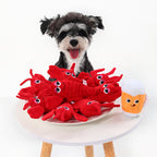 Beer Squeaky Dog Toy – Interactive Play