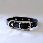 🖤 Black Skull Charm Pet Collar – Faux Croc Leather with Rhinestones