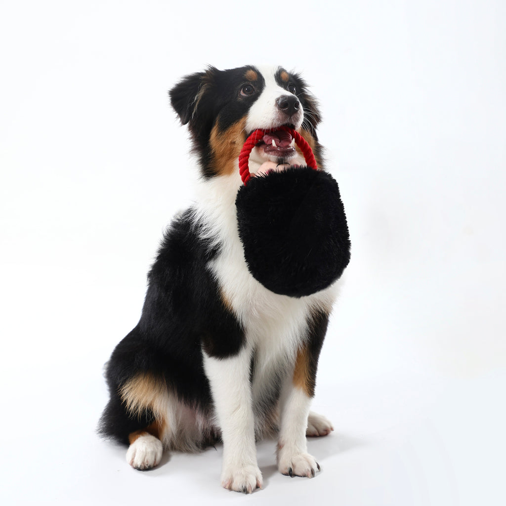 Woven Core Royal Defender Dog Toy – Durable Chew & Play