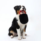 Woven Core Royal Defender Dog Toy – Durable Chew & Play