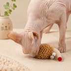 Interactive Plush Hedgehog Cat Toy with Natural Catnip – Bite Resistant Chew & Kicker Toy for Cats