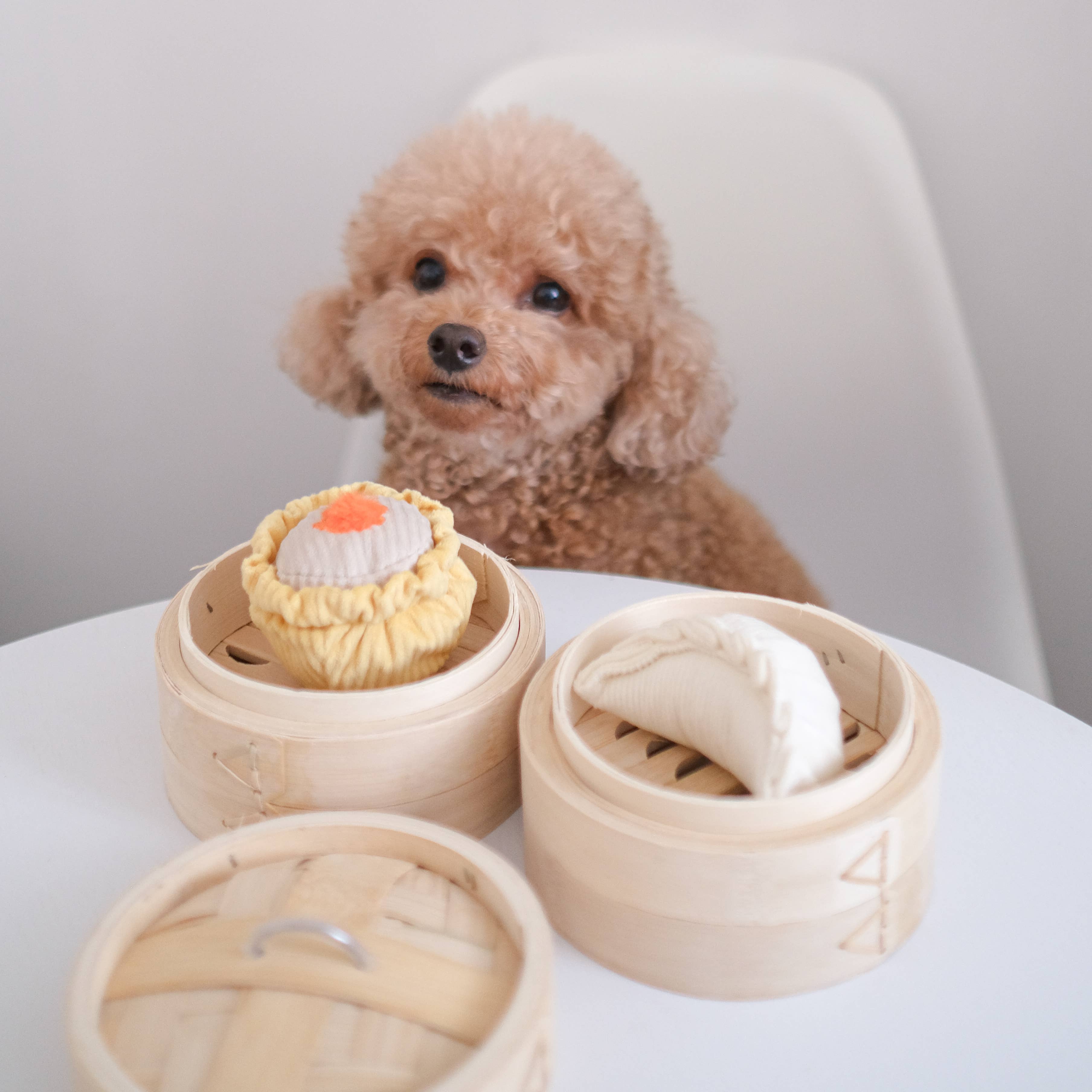 Dim Sum Pop enrichment dog toy