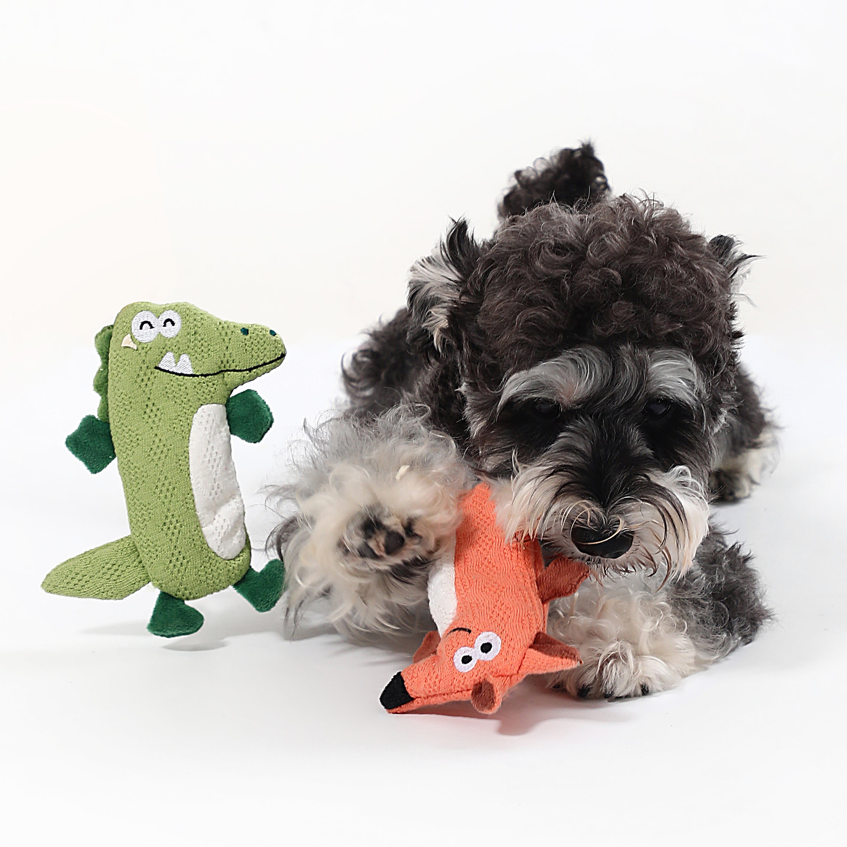 Happy Crocodile Squeaky Dog Toy – Interactive Play