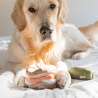 Bagel + Pickle enrichment dog toy