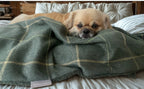 Arlo Forest Green Check Pet Blanket | Reversible Lambswool Sherpa | Handmade Luxury Dog Throw | Machine Washable UK