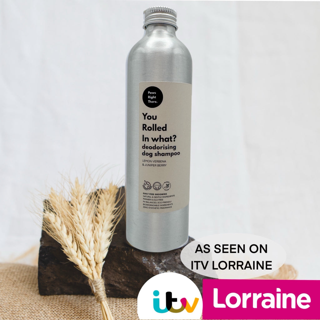 ‘You Rolled in What?’ deodorising dog shampoo| Natural Ingredients | SLS & Paraben Free