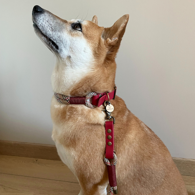 Kitsuné Tartan Red Paracord & Biothane Dog Collar
