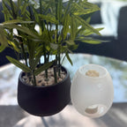 'Lets get Fizzical' Pet Friendly Wax Melts