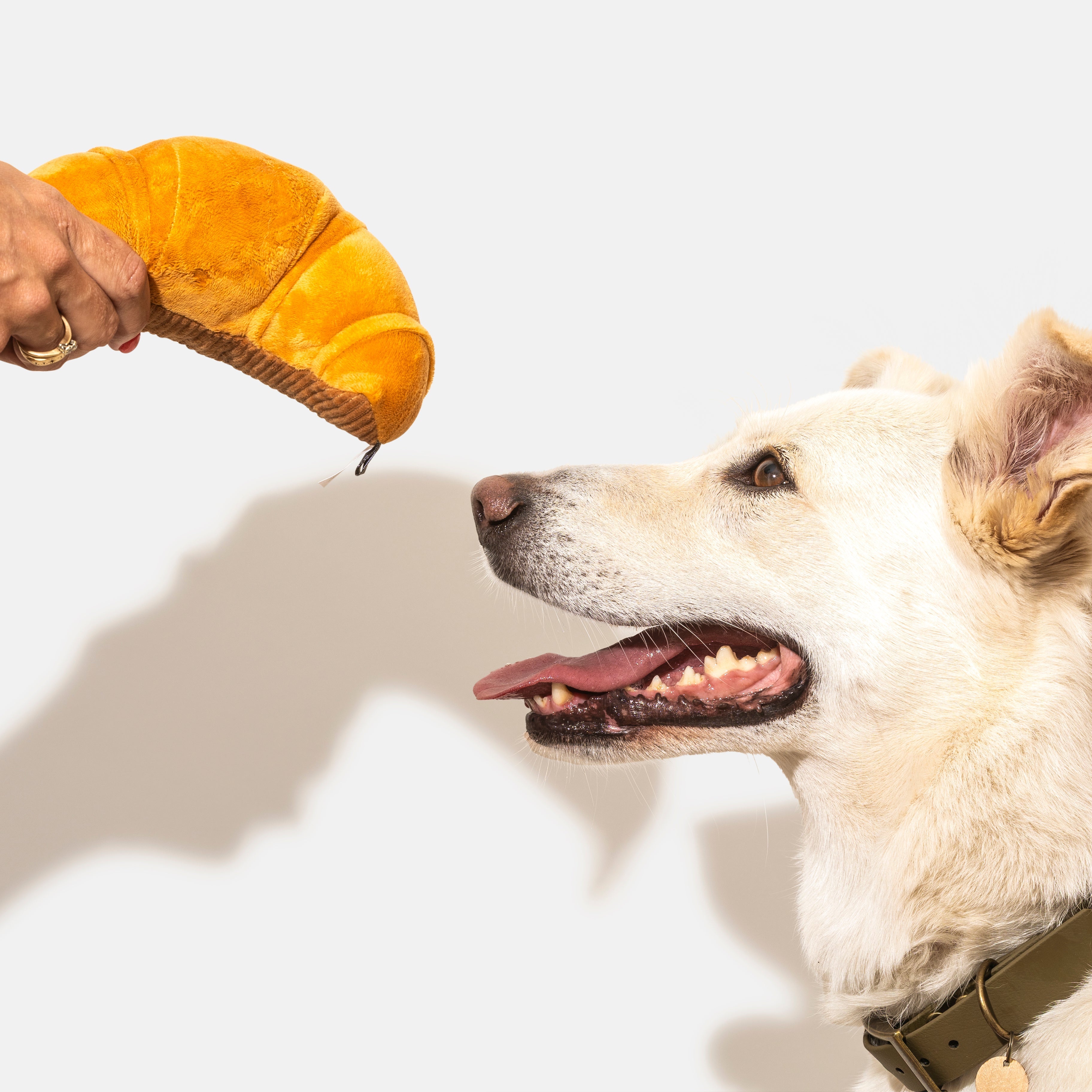 Croissant dog toy