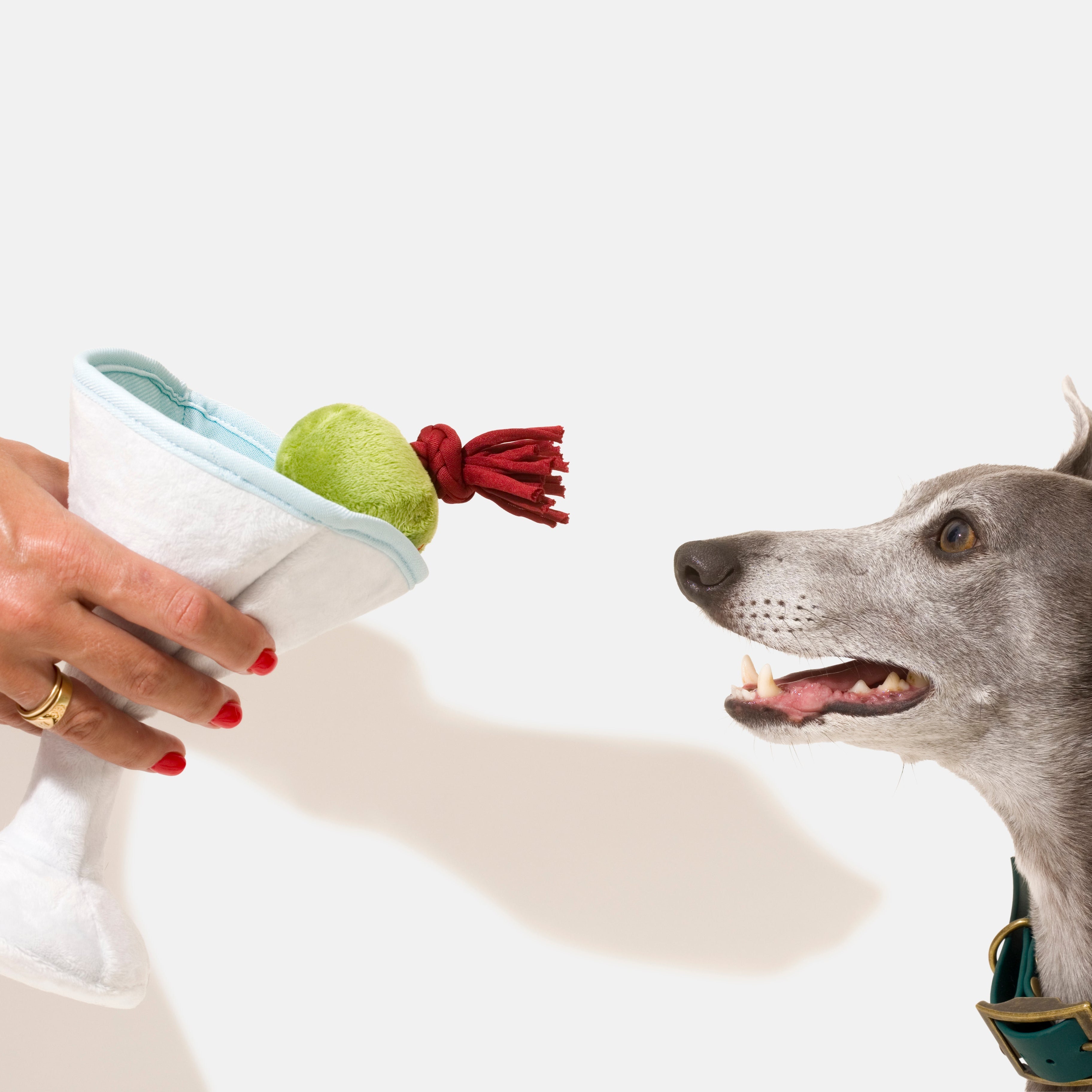 Pawtini dog toy