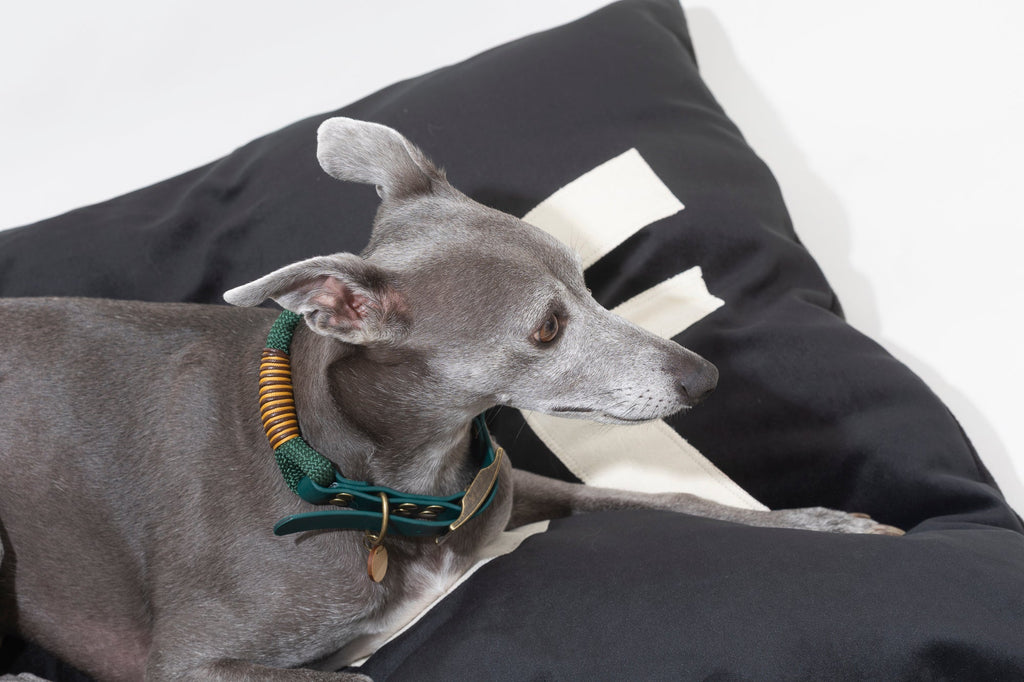 Dog Bed Big WOOF in Black Velvet