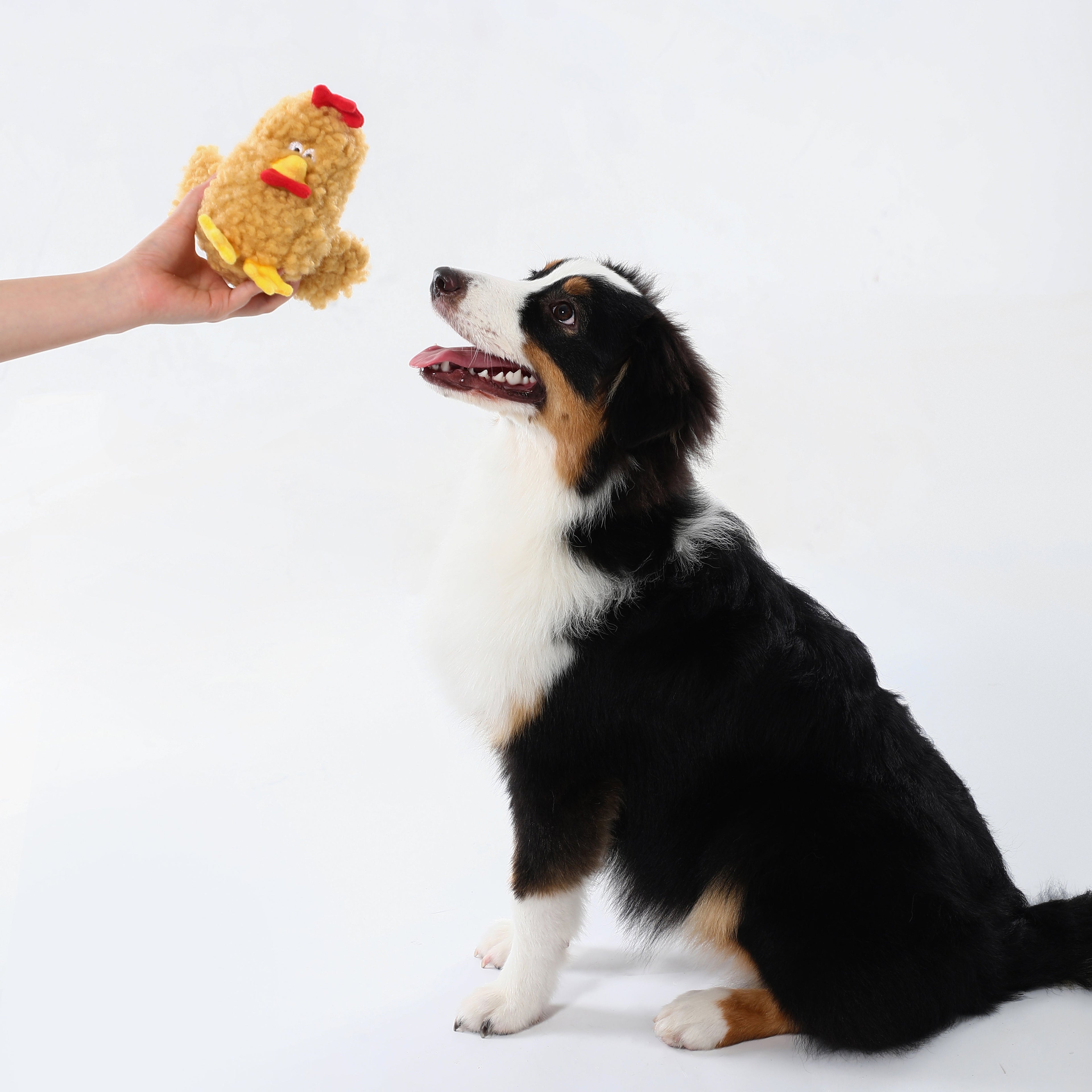 Woven Core Chubby Chicken Dog Toy – Durable Chew & Play