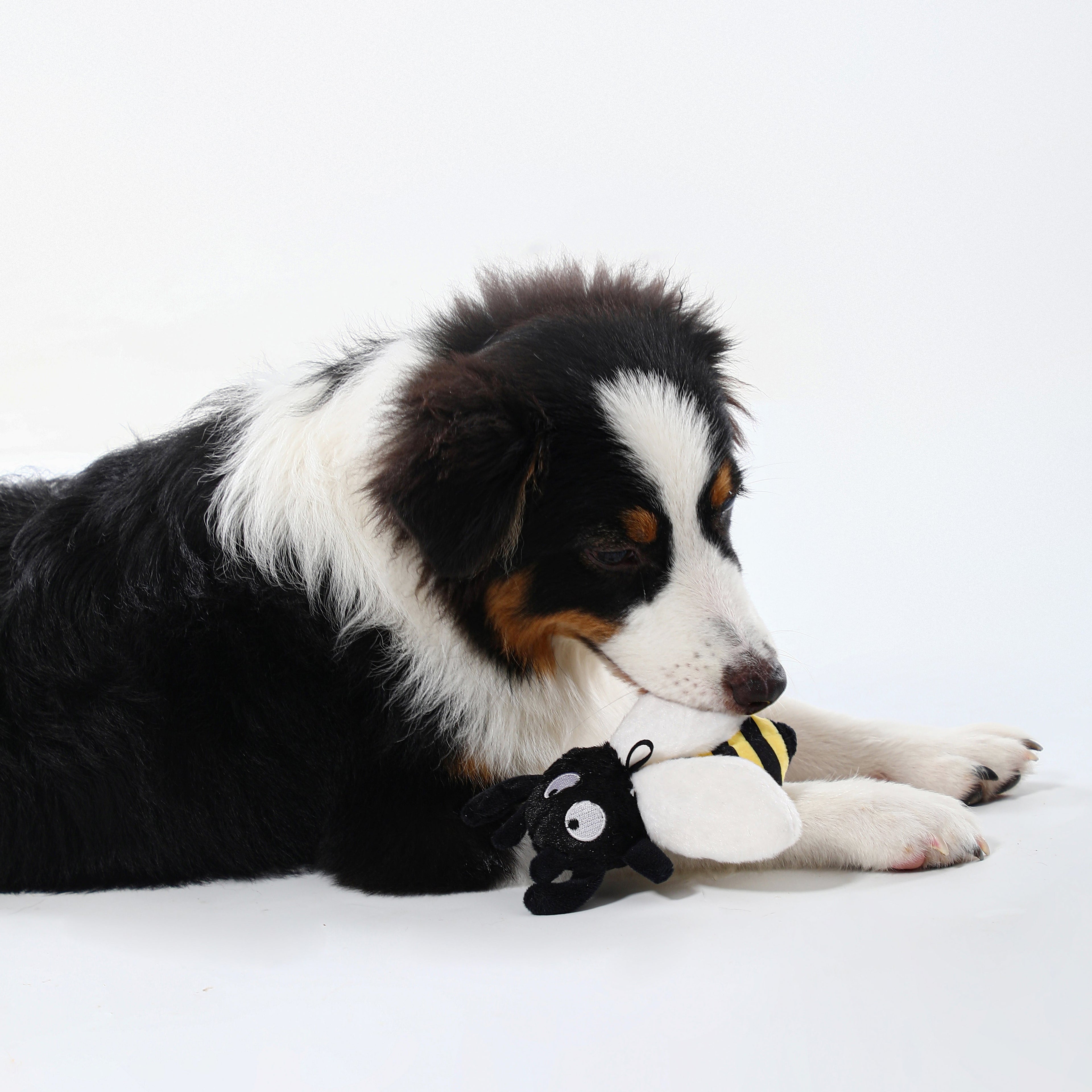 Honey Bee Squeaky Dog Toy – Interactive Play