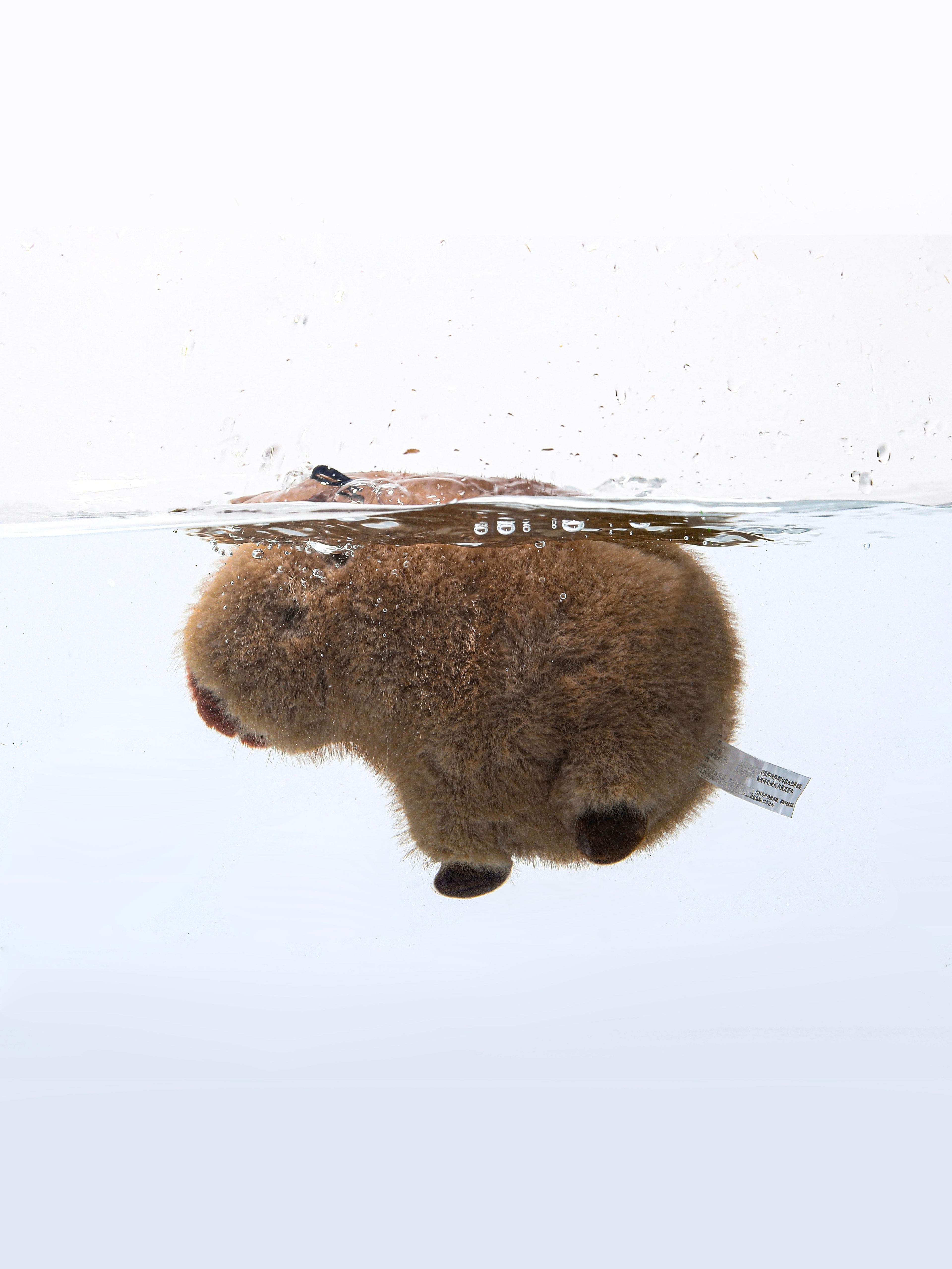 Capybara Squeaky Dog Toy – Interactive & Water-Friendly Play