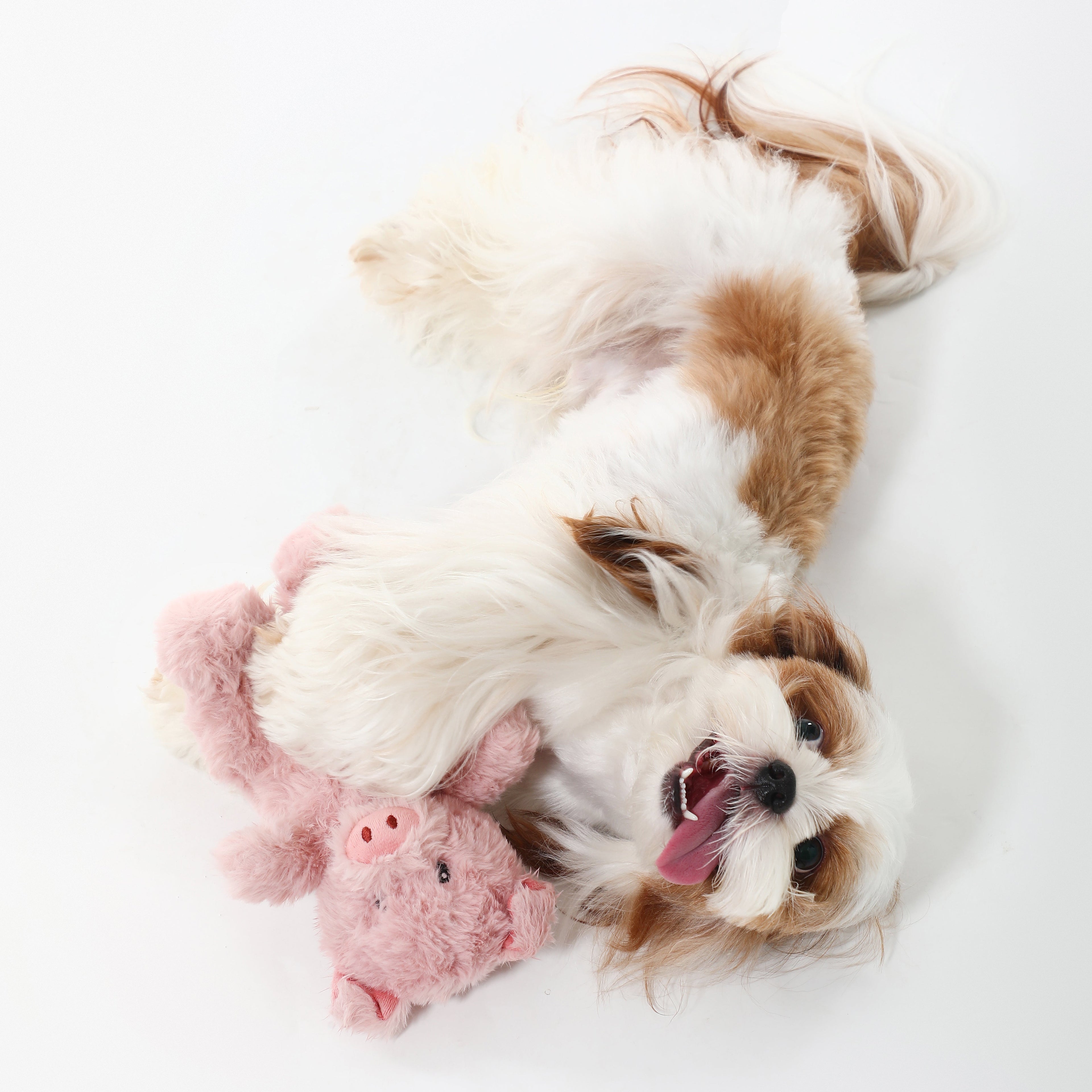 Cuddle Piggy Squeaky Dog Toy – Comfort & Play
