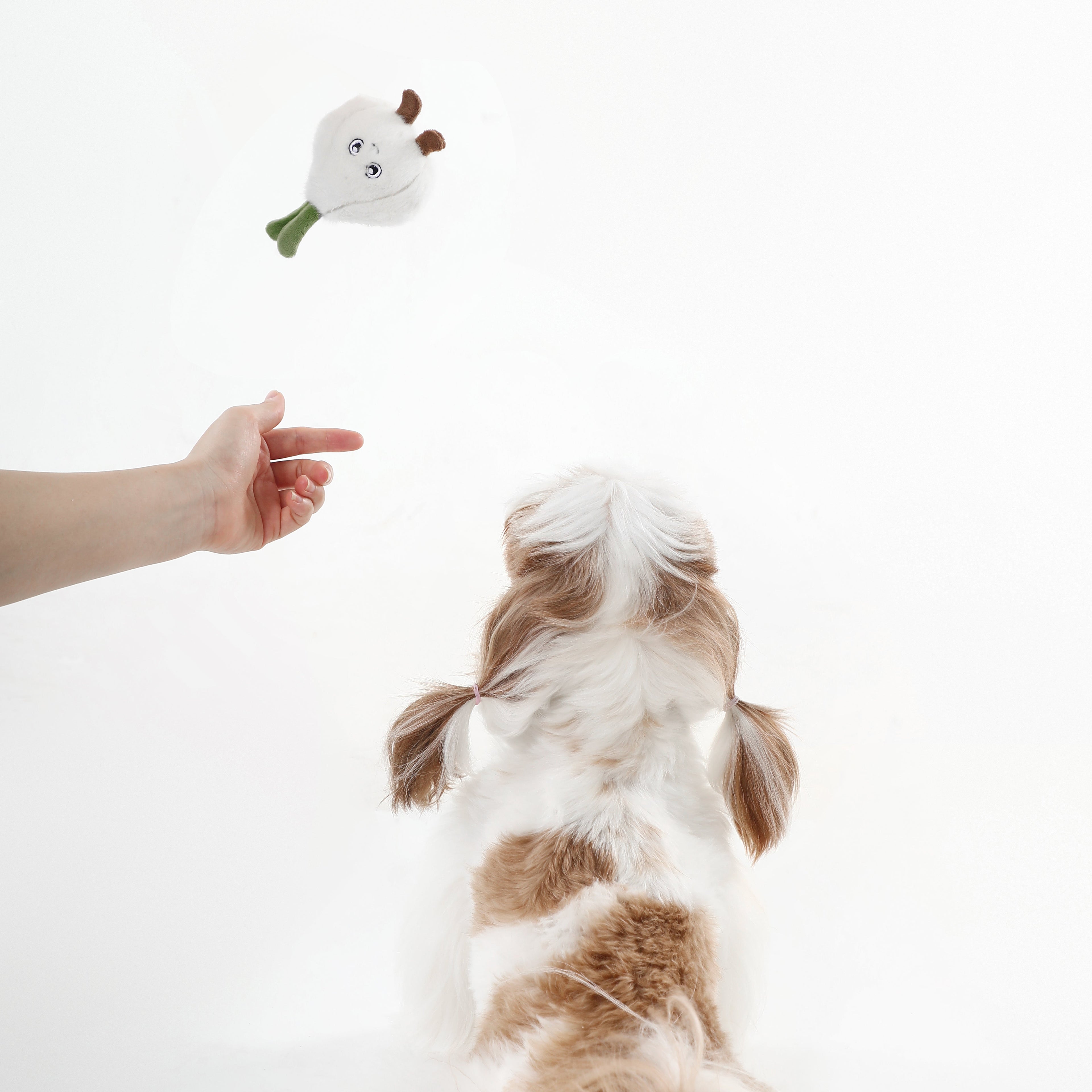 Garlic Squeaky Dog Toy – Interactive Play