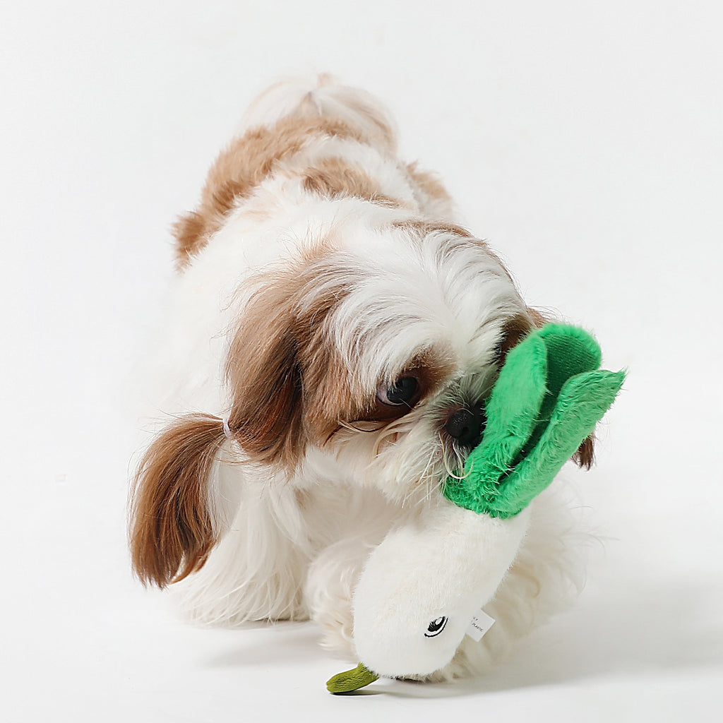 Spring Onion Squeaky Dog Toy – Interactive Play