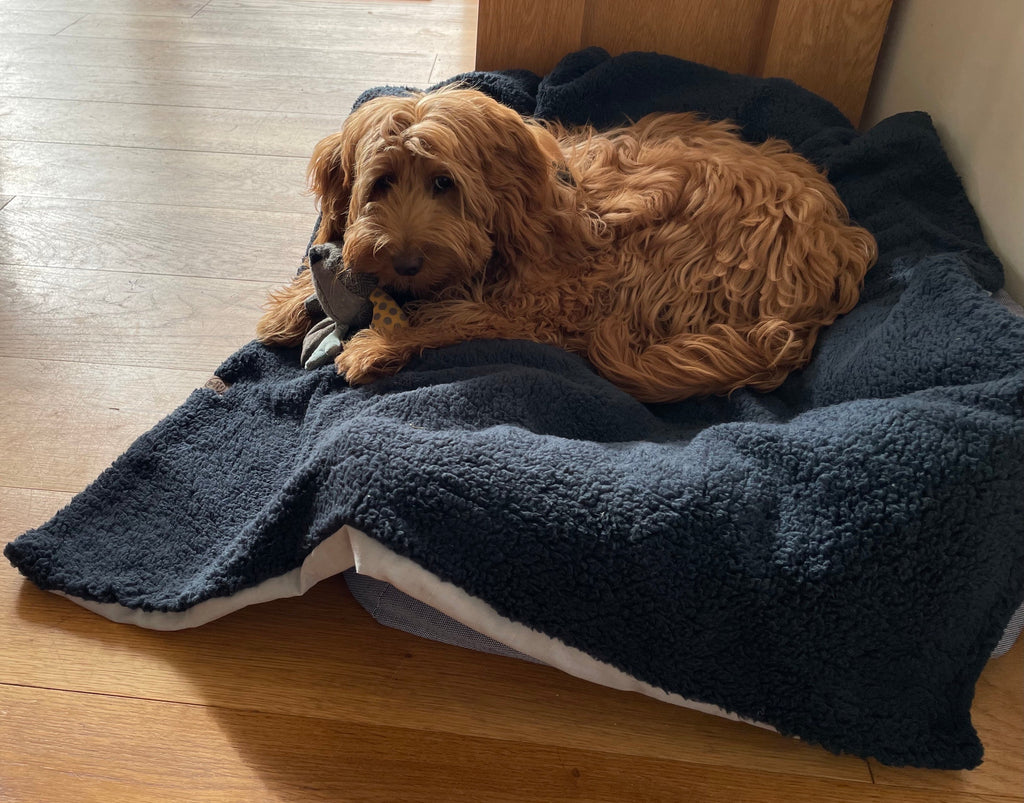Premium Sherpa Fleece Dog Blanket | Handmade Soft Reversible Pet Throw | Cosy Luxury Dog Bedding UK