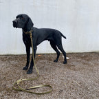 Loki Multiway Dog Lead in Khaki & Brown