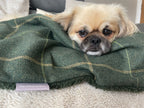 Arlo Forest Green Check Pet Blanket | Reversible Lambswool Sherpa | Handmade Luxury Dog Throw | Machine Washable UK