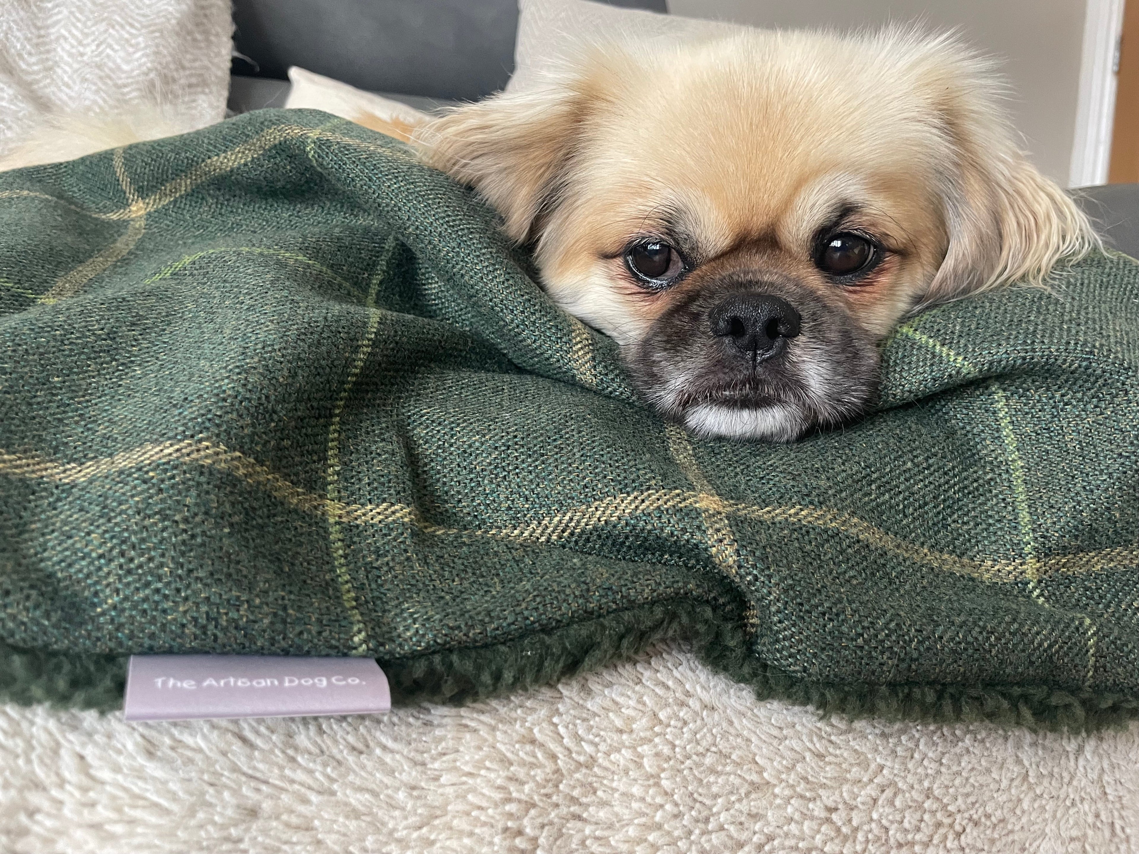 Arlo Forest Green Check Pet Blanket | Reversible Lambswool Sherpa | Handmade Luxury Dog Throw | Machine Washable UK